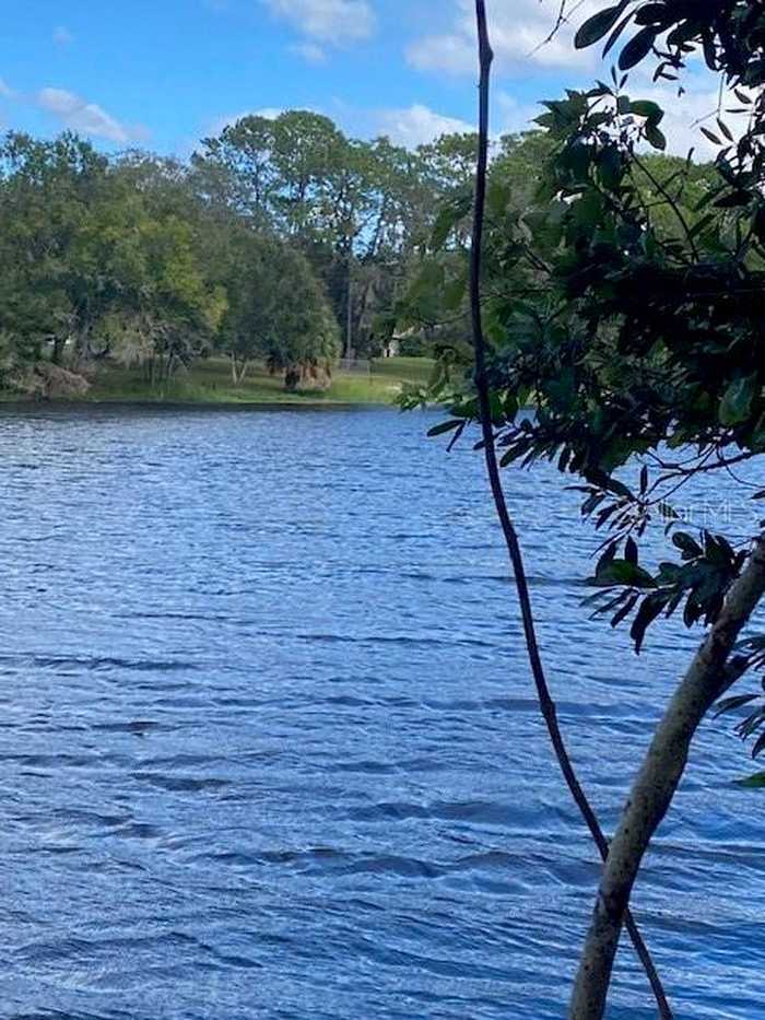 photo 15: Lot 17 LAKE HILLS DRIVE, RIVERVIEW FL 33569