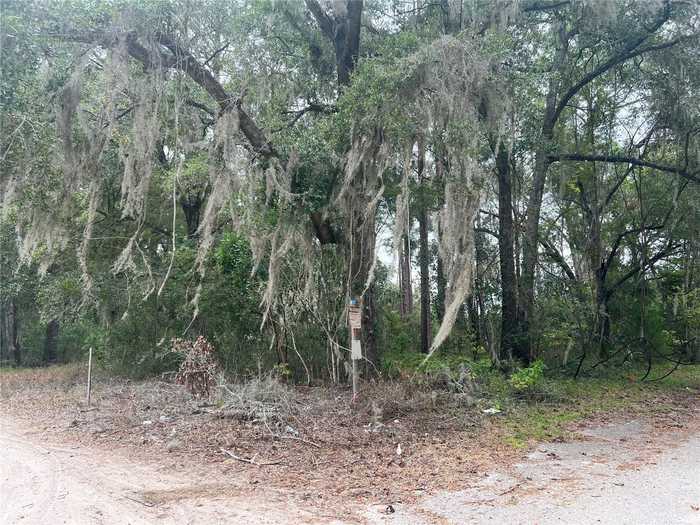 photo 2: NW 187TH ROAD, HIGH SPRINGS FL 32643