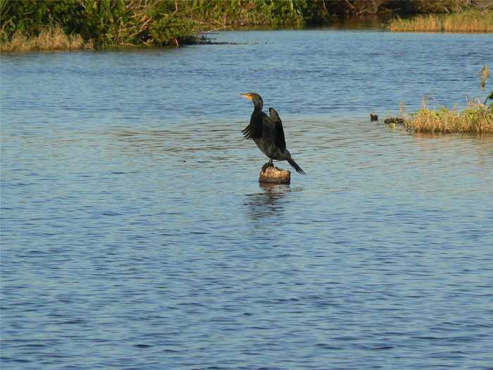 photo 48: 32600 & 32400 SERENE DRIVE, PUNTA GORDA FL 33982