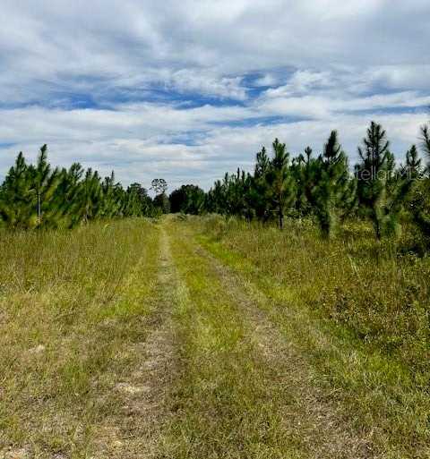 photo 2: 759 SW UPCHURCH AVENUE, LAKE CITY FL 32024