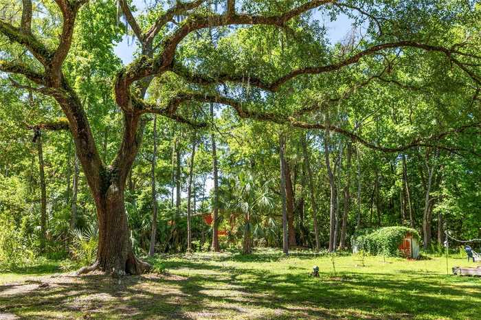 photo 28: 201- 203 NE TAHOTA AVENUE, MICANOPY FL 32667