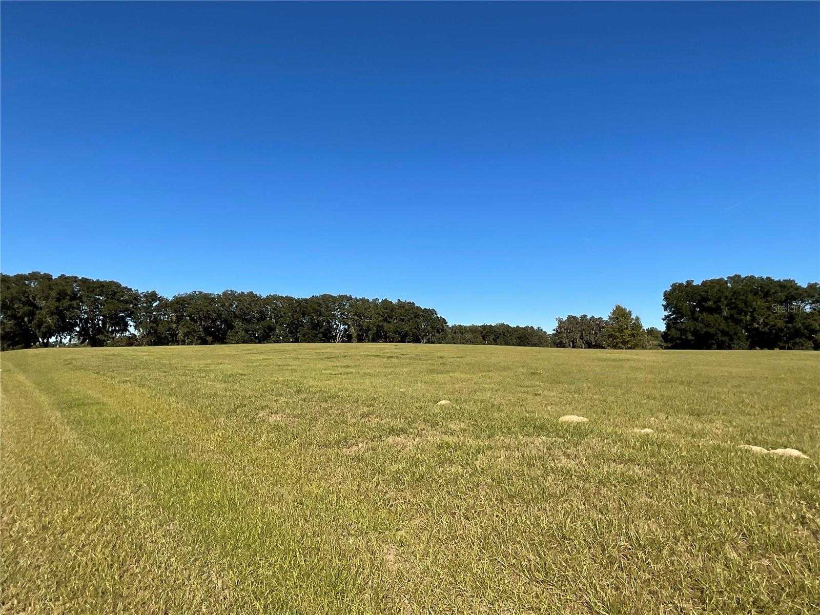 photo 3: TBD SE 15TH AVENUE Unit Lot 1, OCALA FL 34480