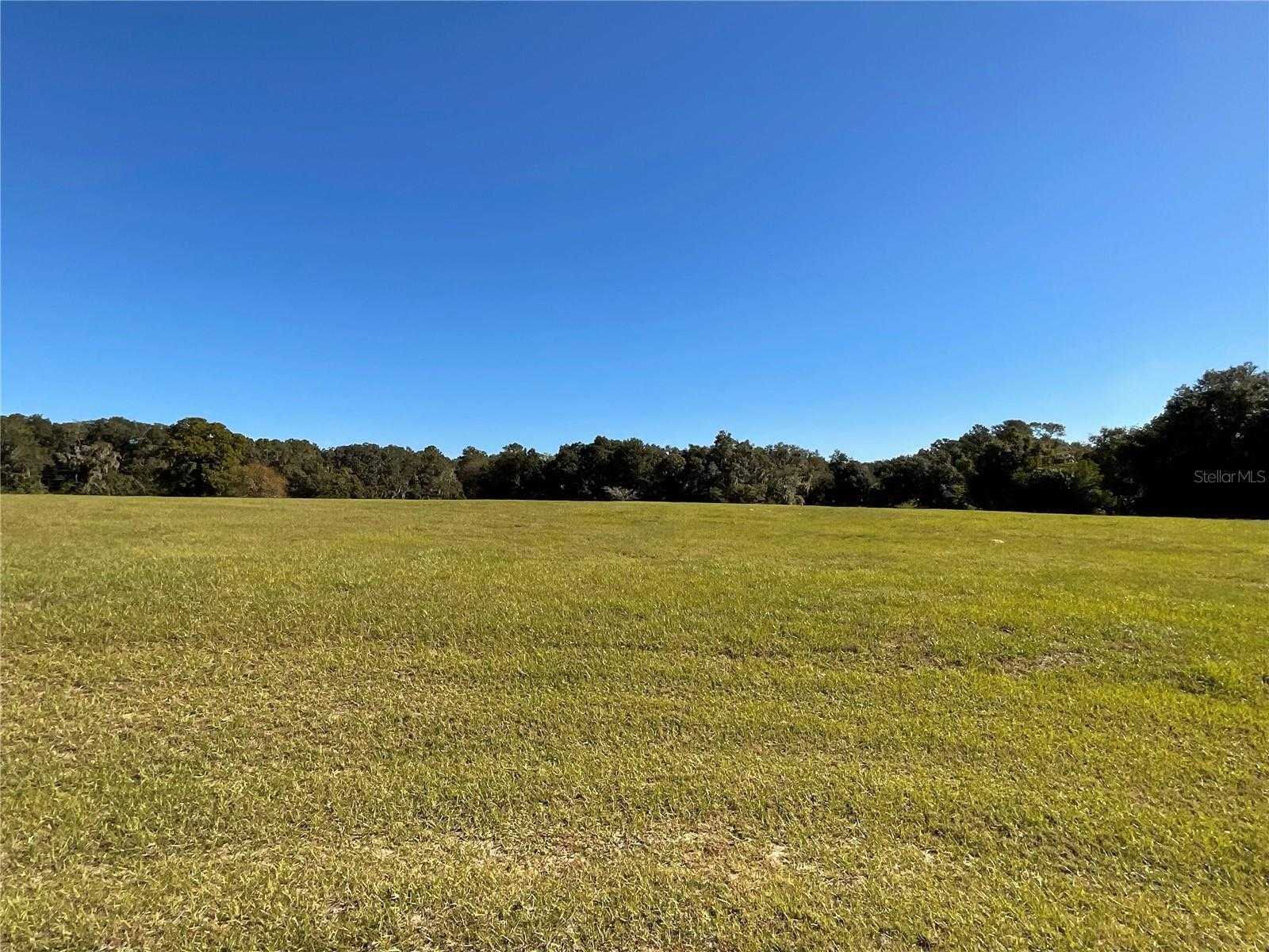 photo 3: TBD SE 111TH PLACE Unit Lot 2, OCALA FL 34480