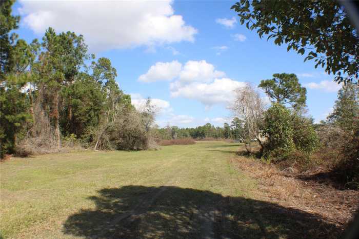 photo 1: Gracie DRIVE, PAISLEY FL 32767