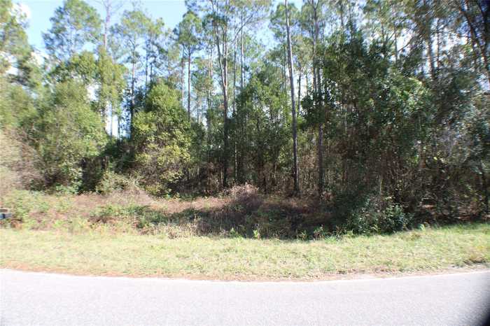 photo 4: FISHERMANS ROAD, PAISLEY FL 32767