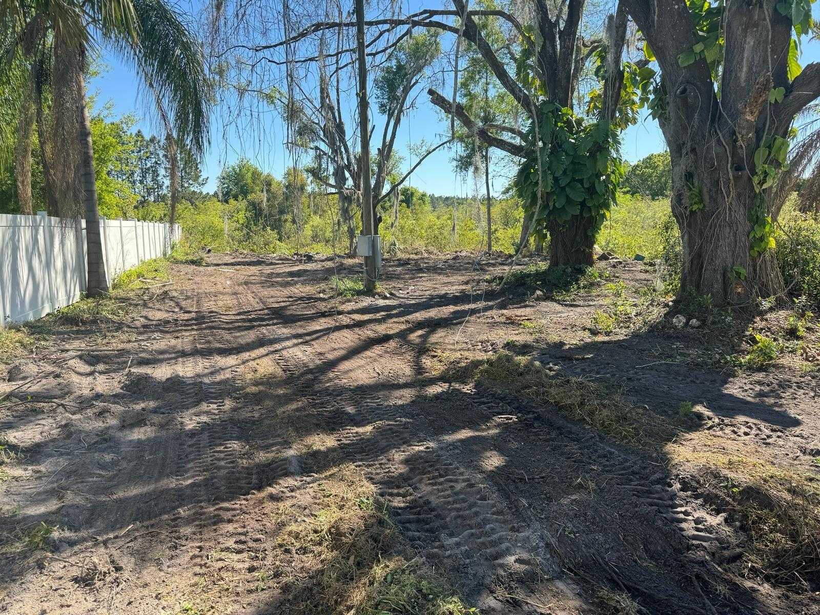 photo 3: 1932 ANDREWS LOOP, LUTZ FL 33558