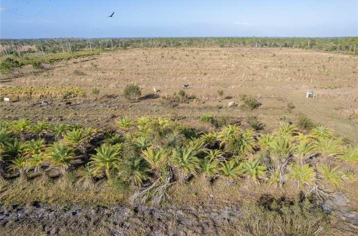 photo 28: 12252 BURNT STORE ROAD, PUNTA GORDA FL 33955