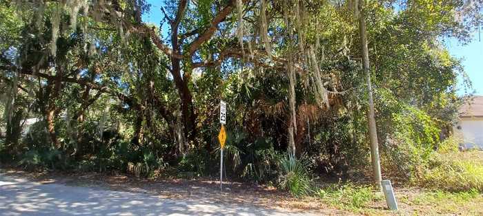 photo 1: Nancy STREET, OAK HILL FL 32759