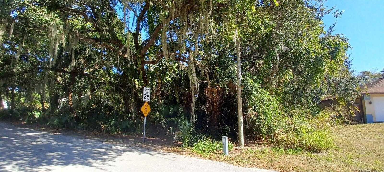 photo 2: Nancy STREET, OAK HILL FL 32759