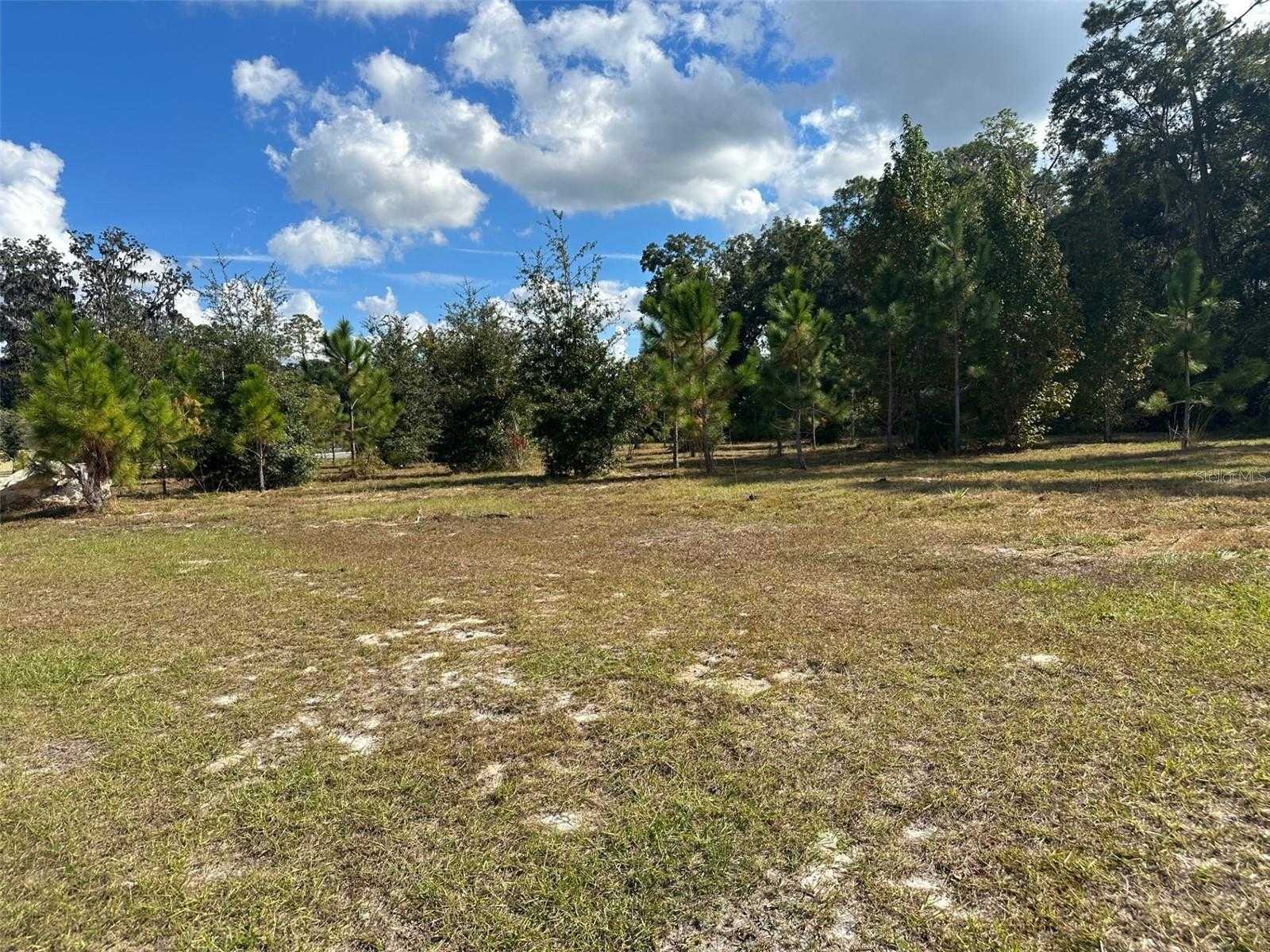 photo 3: TBD SW 24TH AVENUE, GAINESVILLE FL 32607