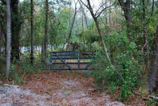 photo 1: 2006 NW THUNDER STREET, WHITE SPRINGS FL 32096