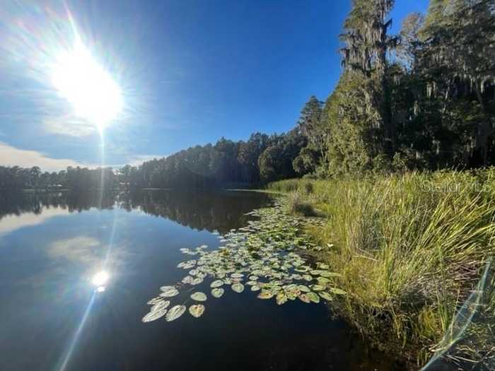 photo 27: SE CORNER OF HOLLY LANE & S.R. 597 LANE, LUTZ FL 33548