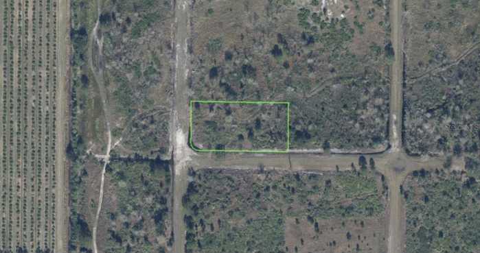 photo 2: 1259 S JURGENSON ROAD, AVON PARK FL 33825