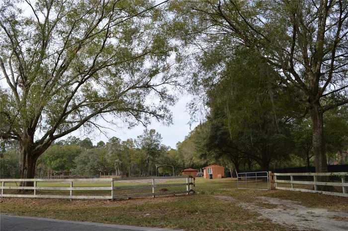 photo 2: 18904 MERRY LANE, LUTZ FL 33548