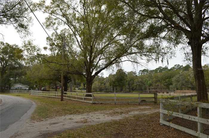 photo 65: 18904 MERRY LANE, LUTZ FL 33548