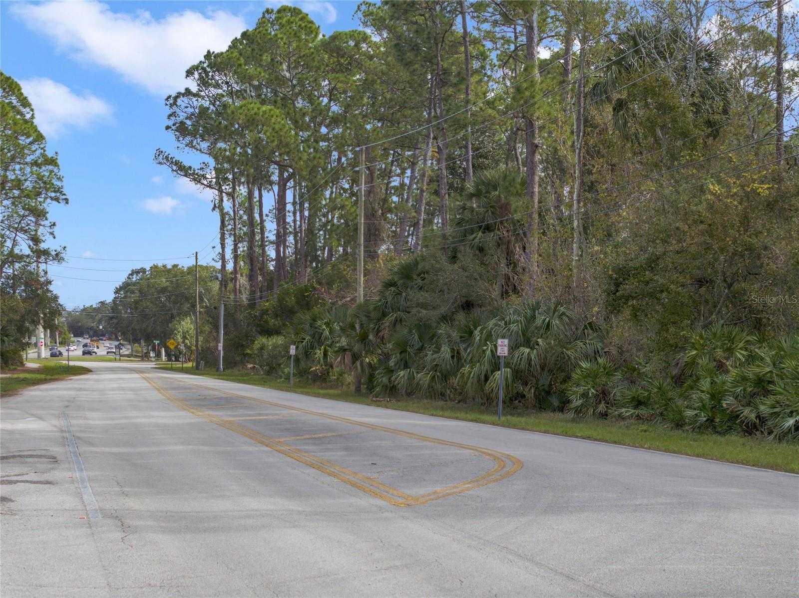 photo 3: DOYLE ROAD, DELTONA FL 32725