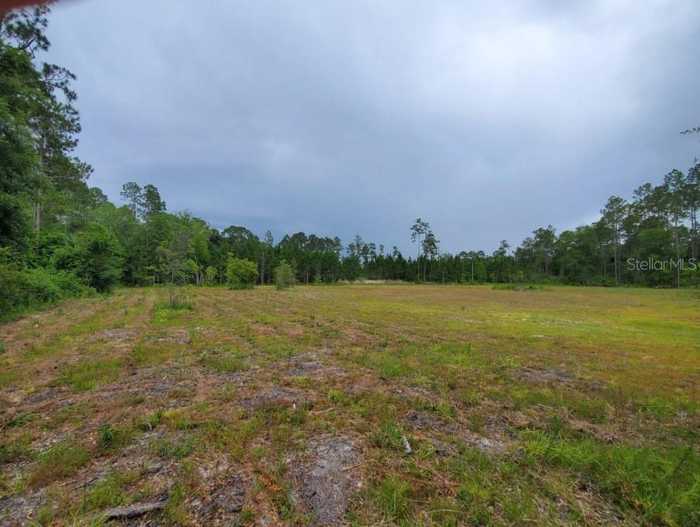 photo 2: NE 73RD TERRACE, CITRA FL 32113