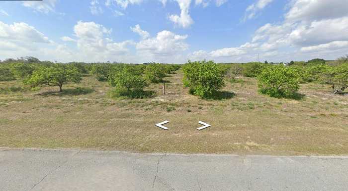 photo 6: PERU ROAD, UMATILLA FL 32784