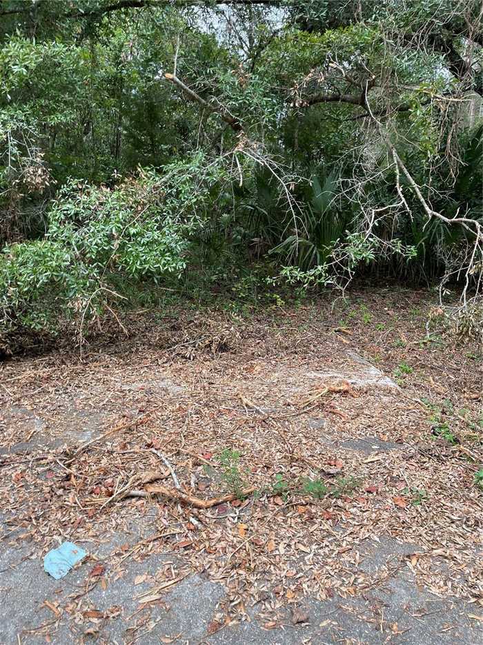 photo 1: TBD NW 178 PLACE, FANNING SPRINGS FL 32693