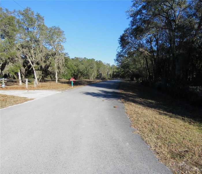 photo 76: 393 NE 576TH STREET, CROSS CITY FL 32628