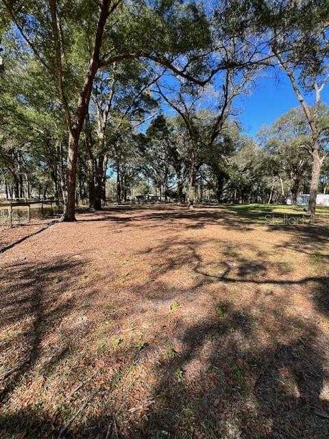 photo 2: 3310 SW 90TH AVENUE, OCALA FL 34481