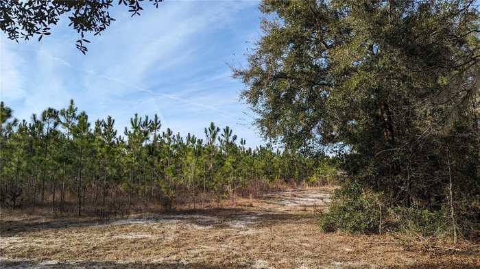 photo 1: 40 ac OFF DIXIE (NE 30TH ST.) HIGHWAY, HIGH SPRINGS FL 32643