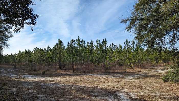 photo 2: 40 ac OFF DIXIE (NE 30TH ST.) HIGHWAY, HIGH SPRINGS FL 32643