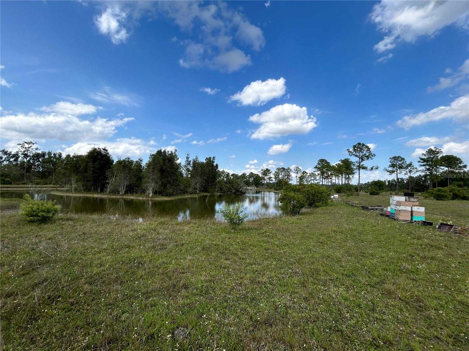 photo 1: 39390 COOK BROWN ROAD, PUNTA GORDA FL 33982