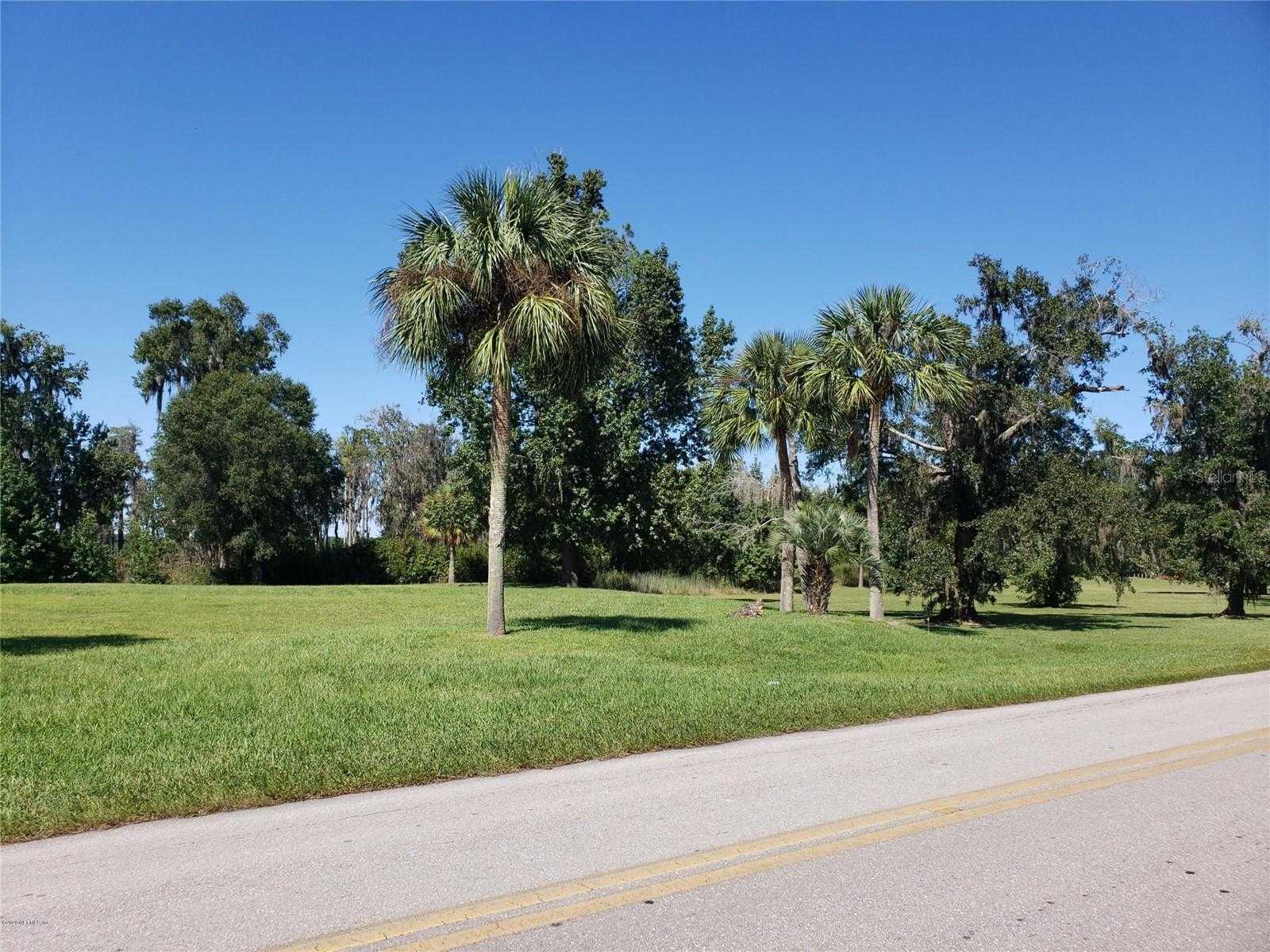 photo 3: NE 3RD STREET, LAKE BUTLER FL 32054