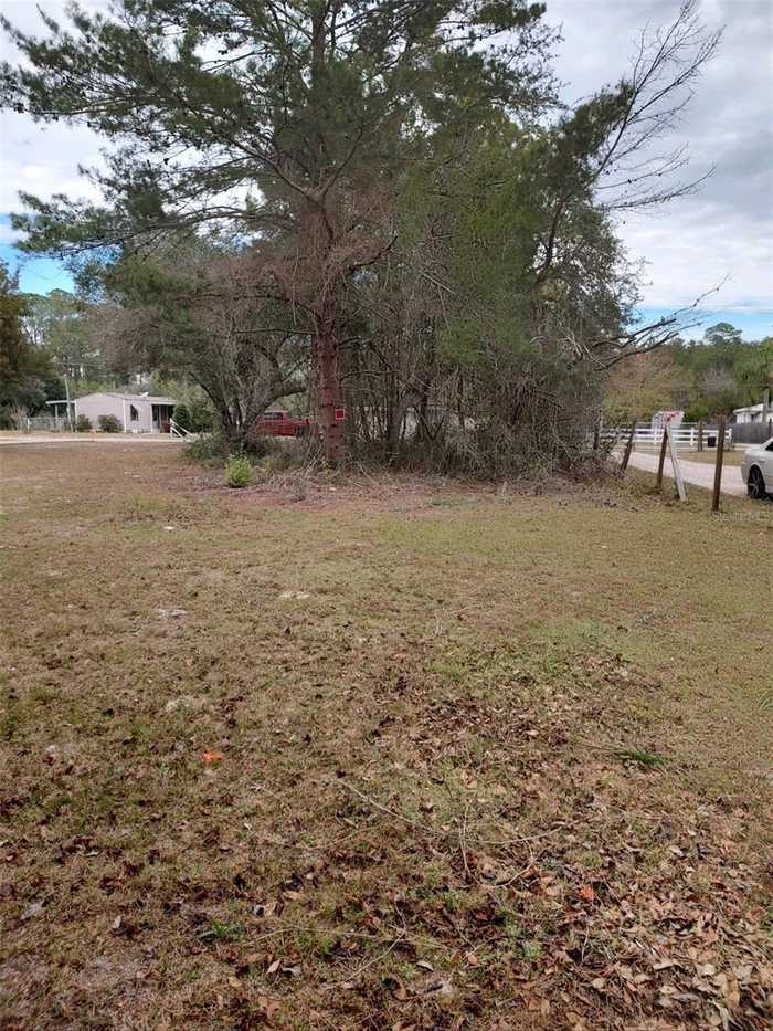 photo 1: LOT 2 HOLLY AVENUE, PAISLEY FL 32767