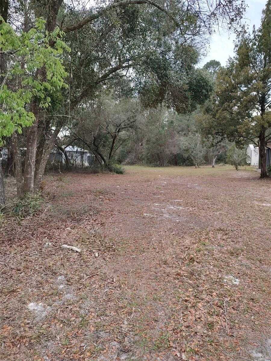 photo 2: LOT 2 HOLLY AVENUE, PAISLEY FL 32767