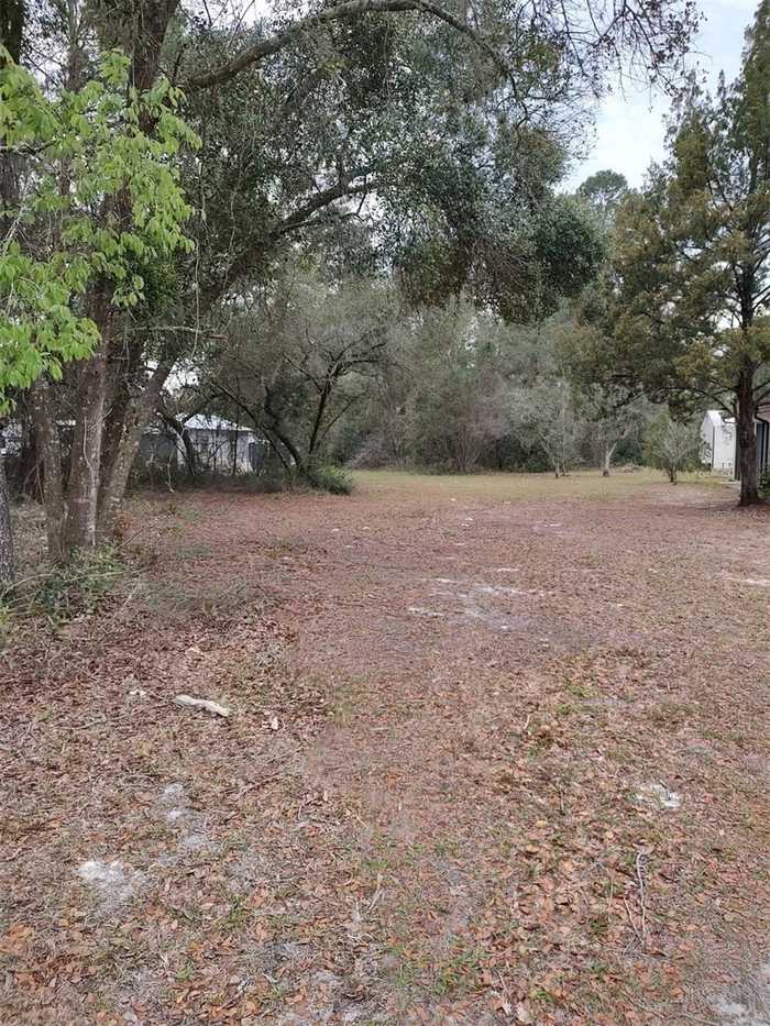 photo 2: LOT 2 HOLLY AVENUE, PAISLEY FL 32767