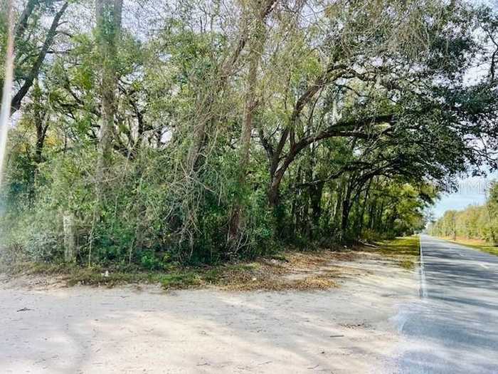 photo 11: NW COUNTY ROAD 342, BELL FL 32619