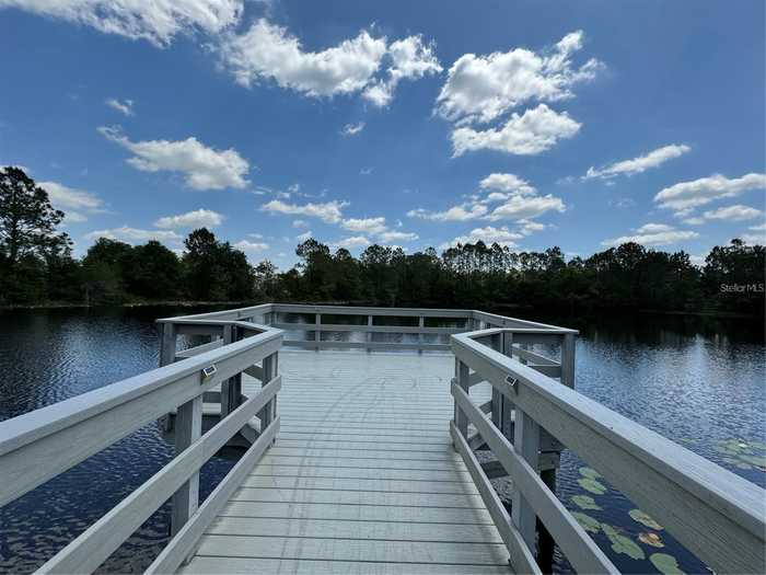 photo 46: 3011 MARBLE CREST DRIVE, LAND O LAKES FL 34638