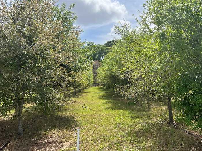 photo 1: 300 E HIGHWAY 316, CITRA FL 32113