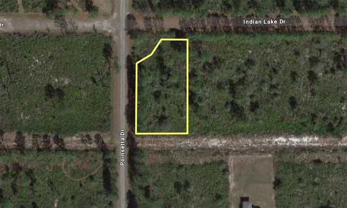 photo 1: 223 INDIAN LAKE DRIVE, INDIAN LAKE ESTATES FL 33855