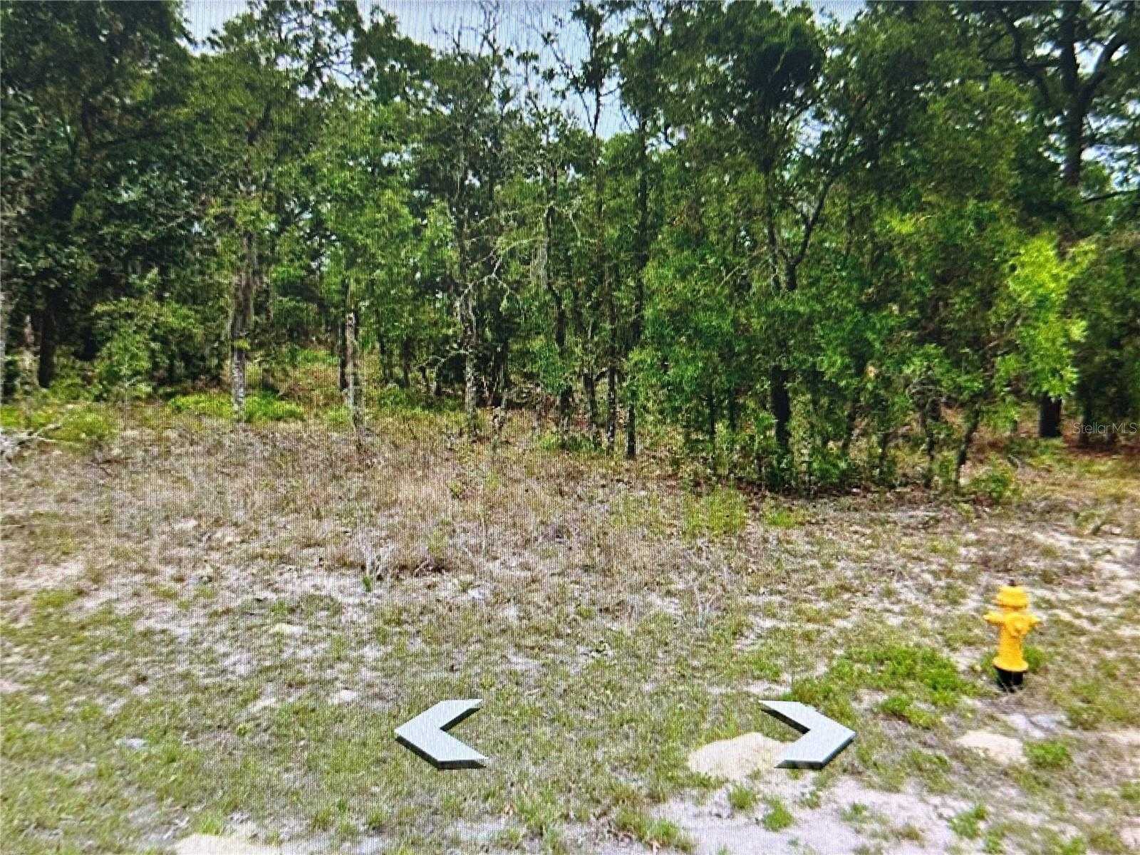 photo 2: 2466 W SWANSON DRIVE, CITRUS SPRINGS FL 34434