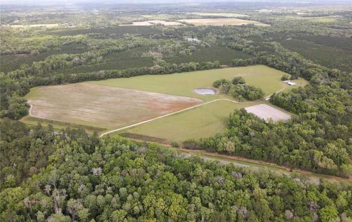 photo 77: 19019 N SR 121, GAINESVILLE FL 32653