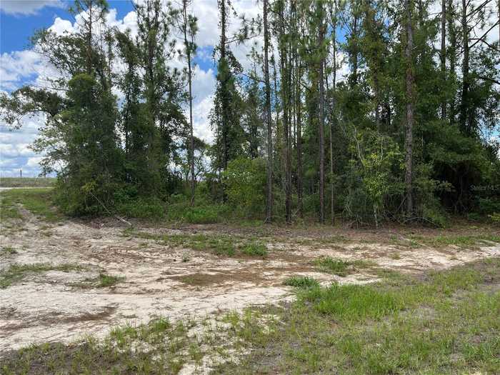 photo 46: 13690 NE 10TH STREET, WILLISTON FL 32696