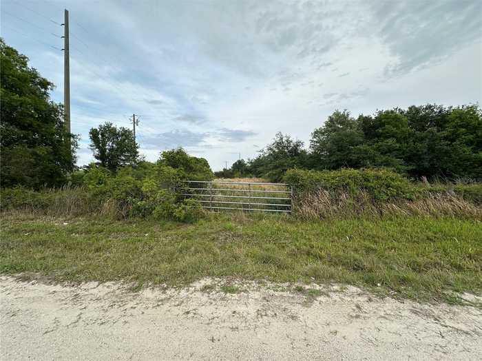 photo 1: 117 CHARLEY BRYAN ROAD, ONA FL 33865