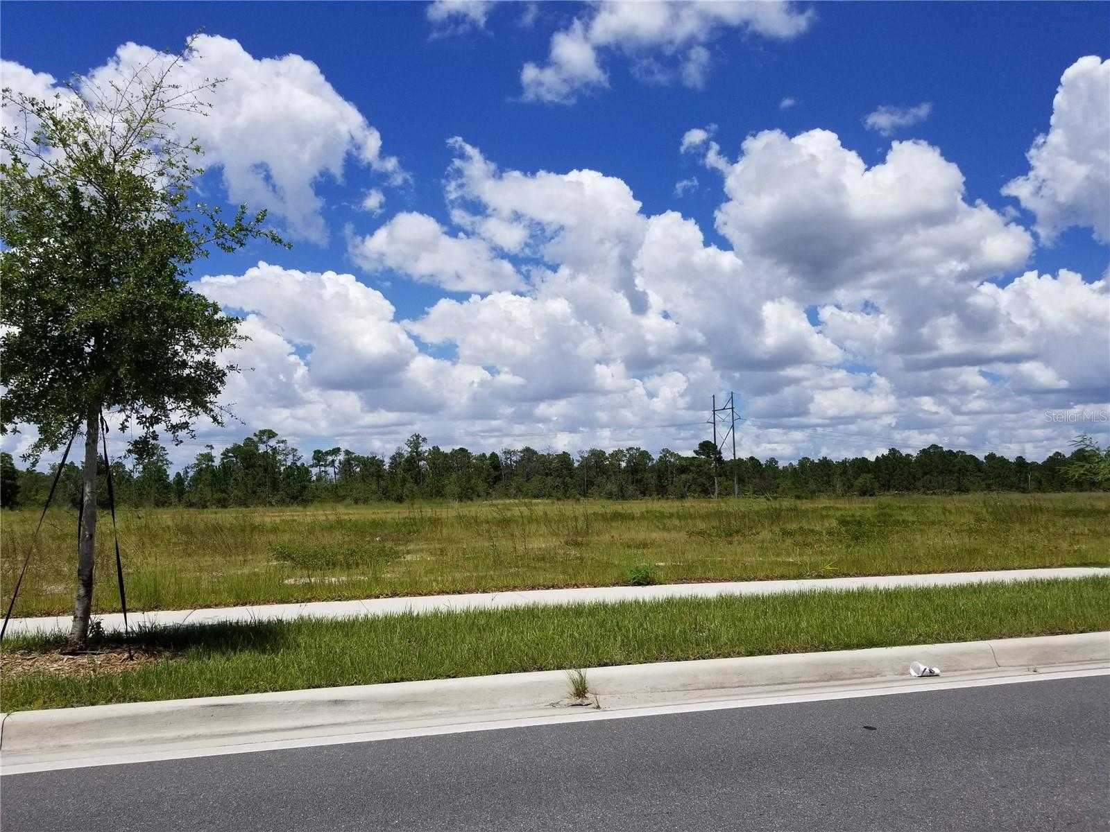 photo 3: S APOPKA VINELAND ROAD, ORLANDO FL 32821