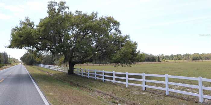 photo 60: 843 TIGER LAKE ROAD, LAKE WALES FL 33898