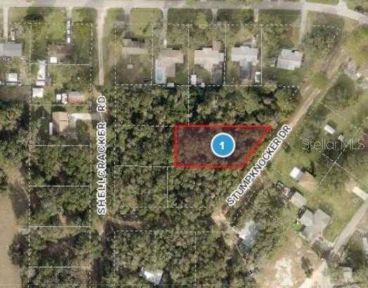 photo 1: STUMPKNOCKER DRIVE, FRUITLAND PARK FL 34731