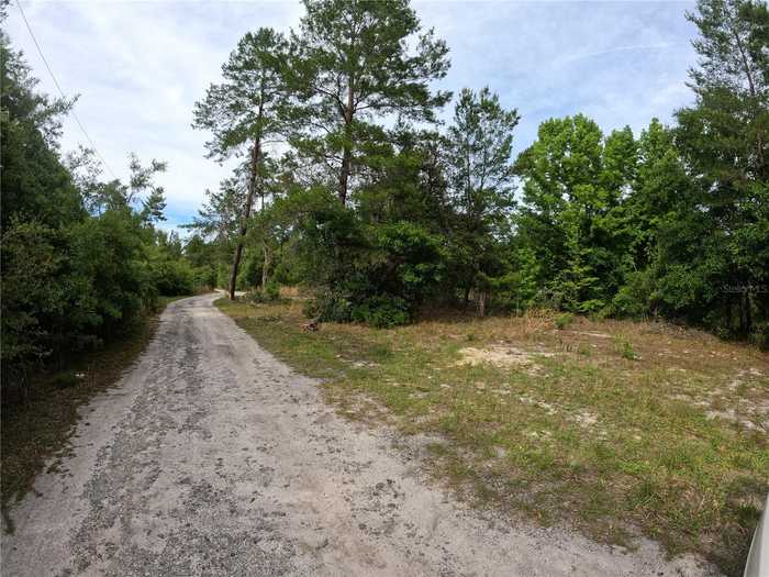 photo 1: 43928 STERLING ROAD, PAISLEY FL 32767