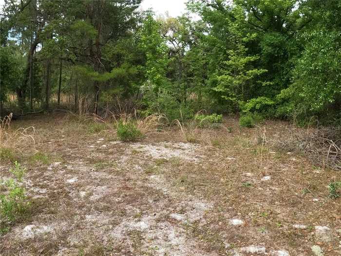 photo 2: 43928 STERLING ROAD, PAISLEY FL 32767