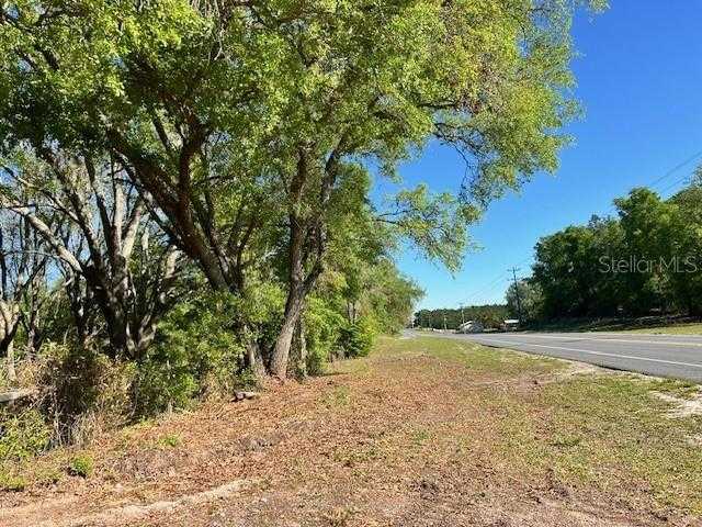 photo 1: 3109 N US HIGHWAY 129, BELL FL 32619