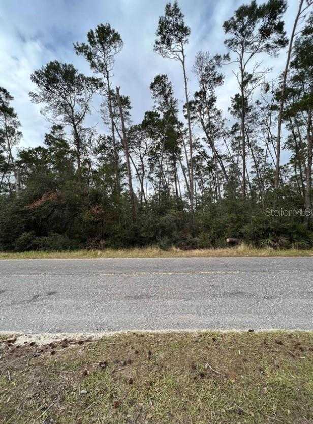 photo 2: FISHERMANS ROAD, PAISLEY FL 32767