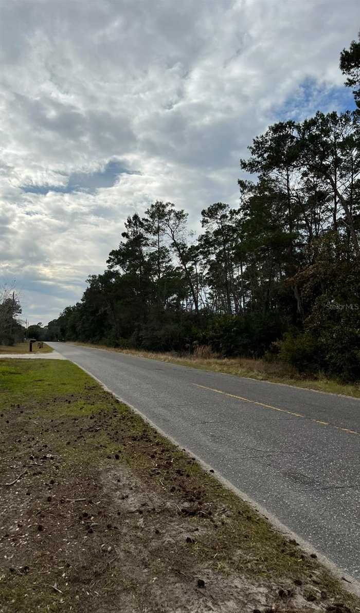 photo 6: FISHERMANS ROAD, PAISLEY FL 32767