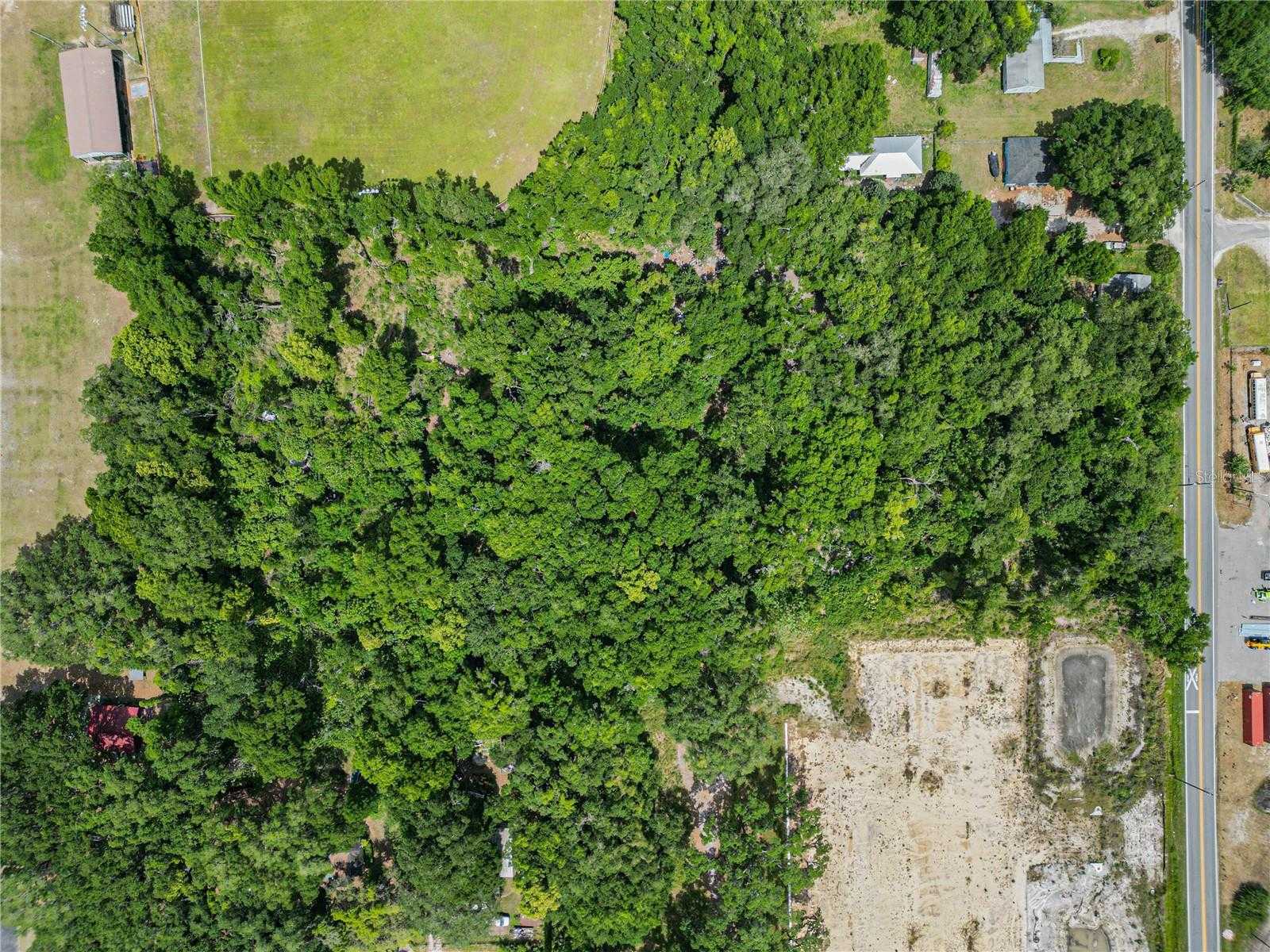 photo 3: FISH HATCHERY ROAD, LAKELAND FL 33801