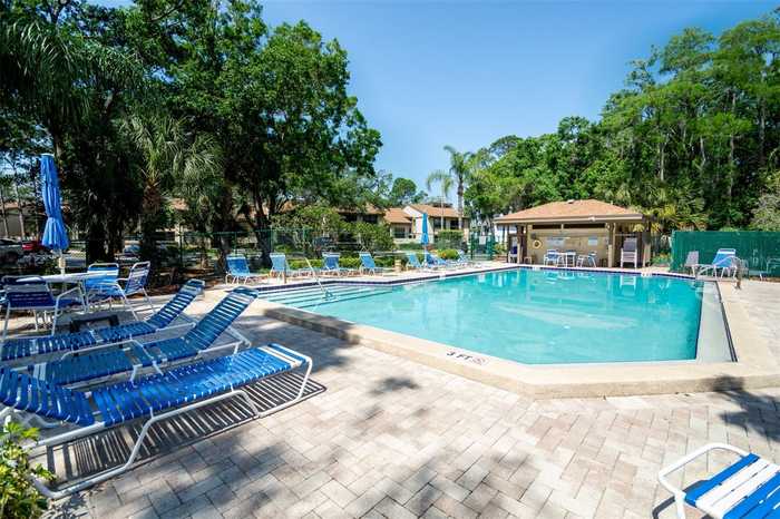 photo 30: 255 WOODLAKE WYNDE Unit 255, OLDSMAR FL 34677